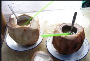 kelapa bakar obat kencing batu