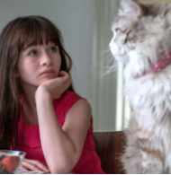 7 Rekomendasi Film Tentang Kucing. Jangan Ngaku Pecinta Kocheng Kalau Belum Nonton Film ini